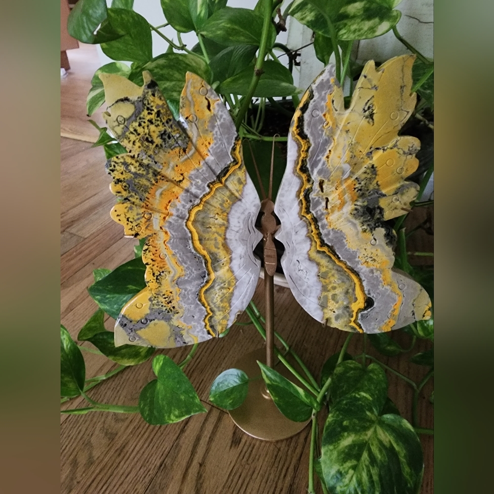 bumblebee jasper butterfly wings